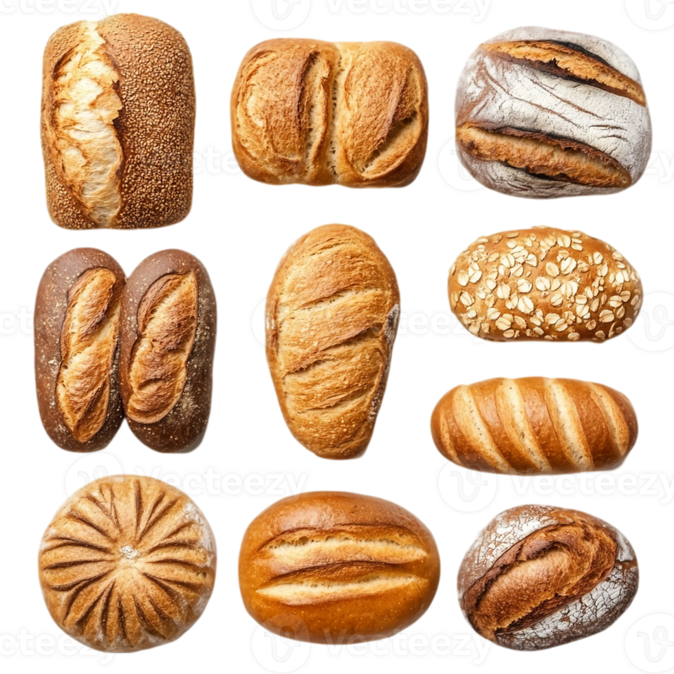 Assortment of freshly baked bread loaves with unique textures isolated on transparent background png