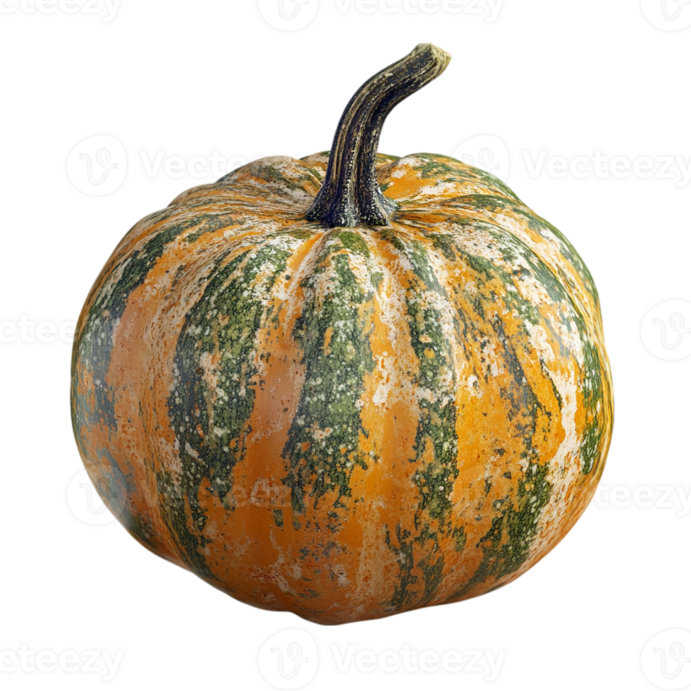 Autumn squash gourd harvest seasonal produceisolated on transparent background png