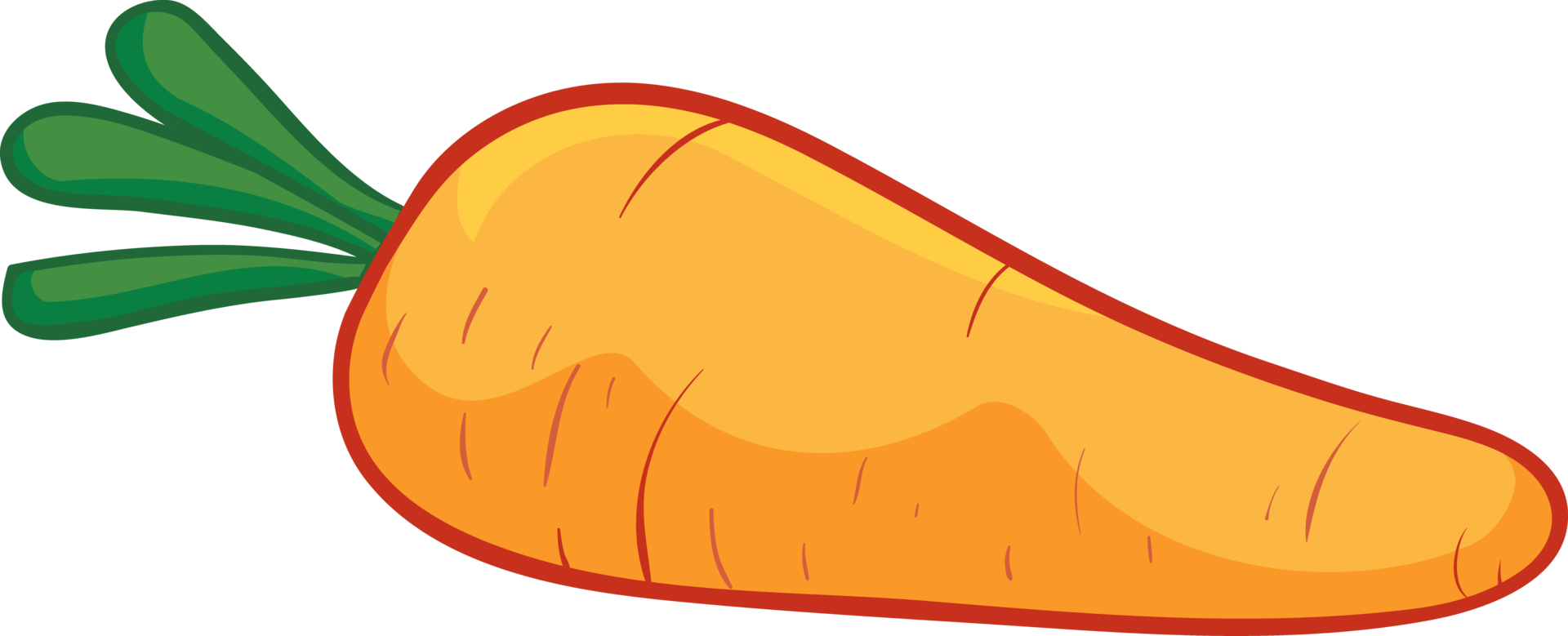 Textbook illustration of carrots png