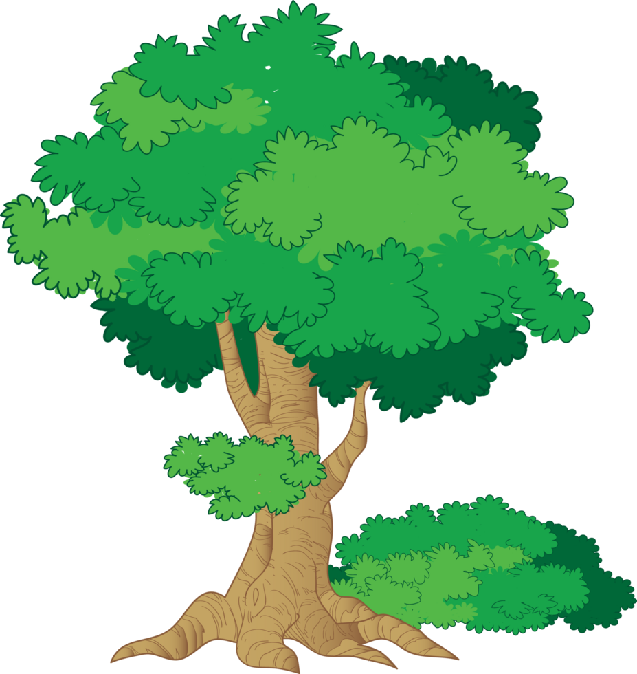 The third type of big tree png