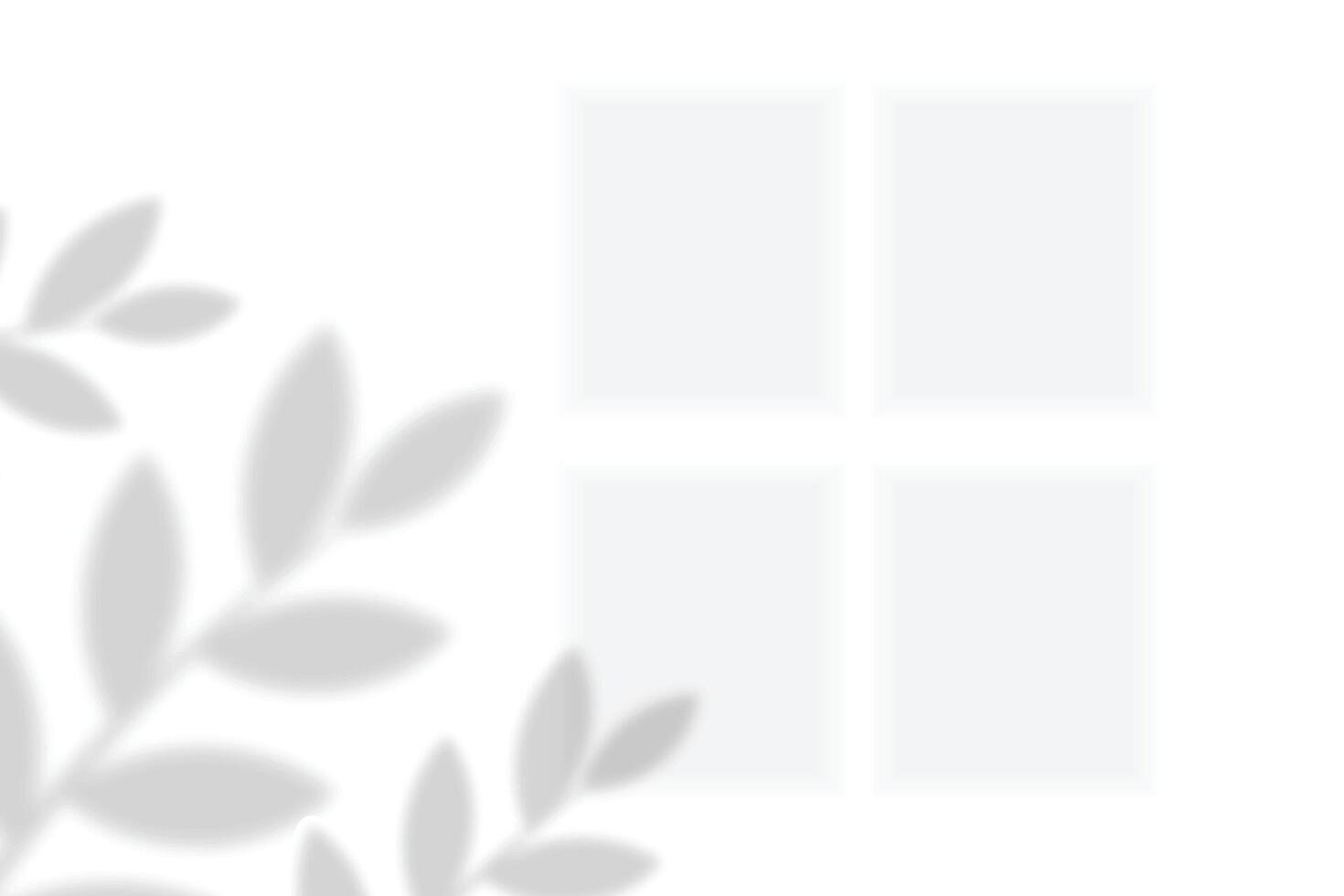 Realistic shadow of leaves on white wall background vector