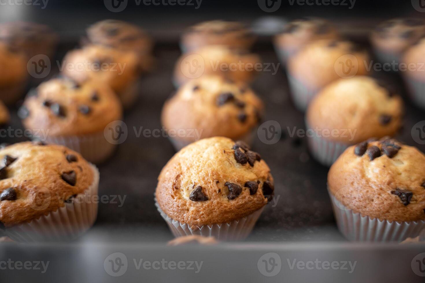 Close up of fresh chocolate cupcakes resting on a metal tray after being baked photo