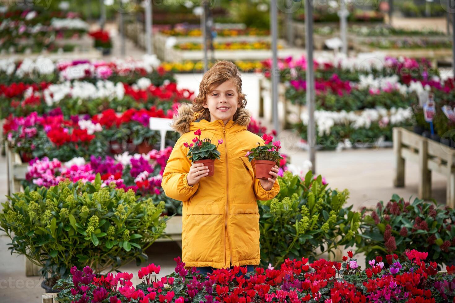 Cheerful preteen boy with blooming potted flowers in garden photo