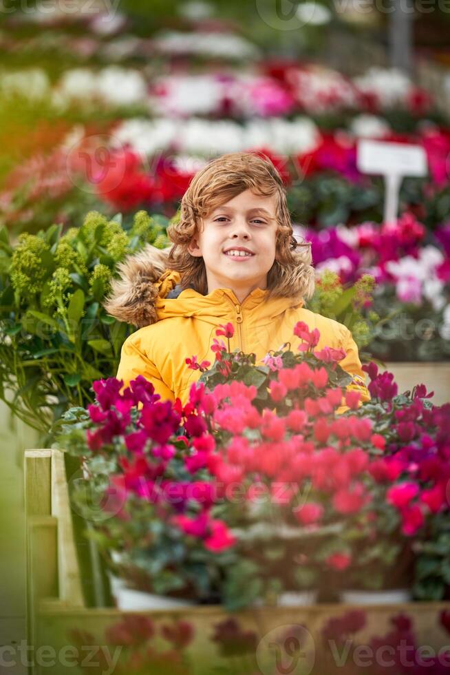 Smiling little boy sitting on bench in garden center photo
