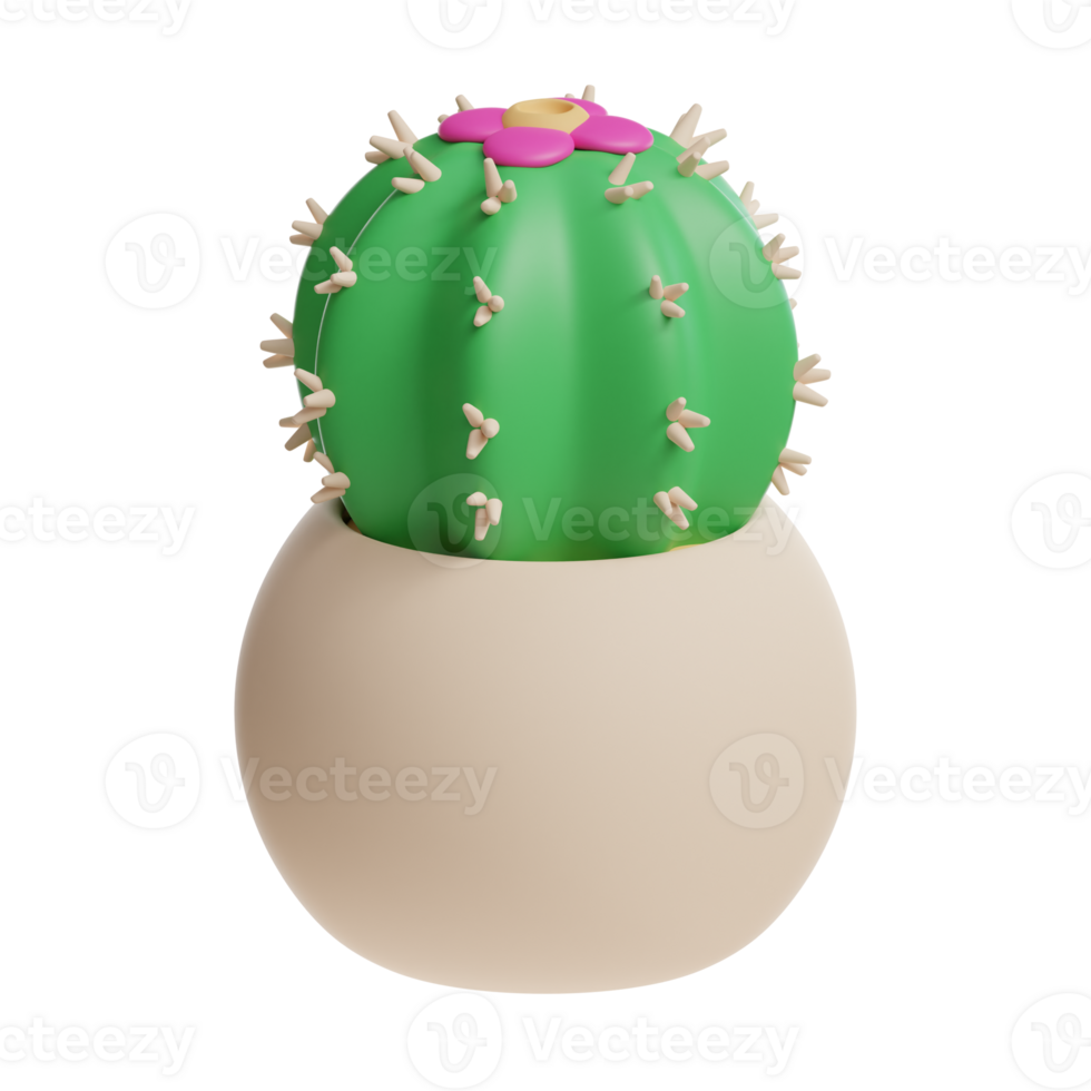 3d cactus home interior icon png