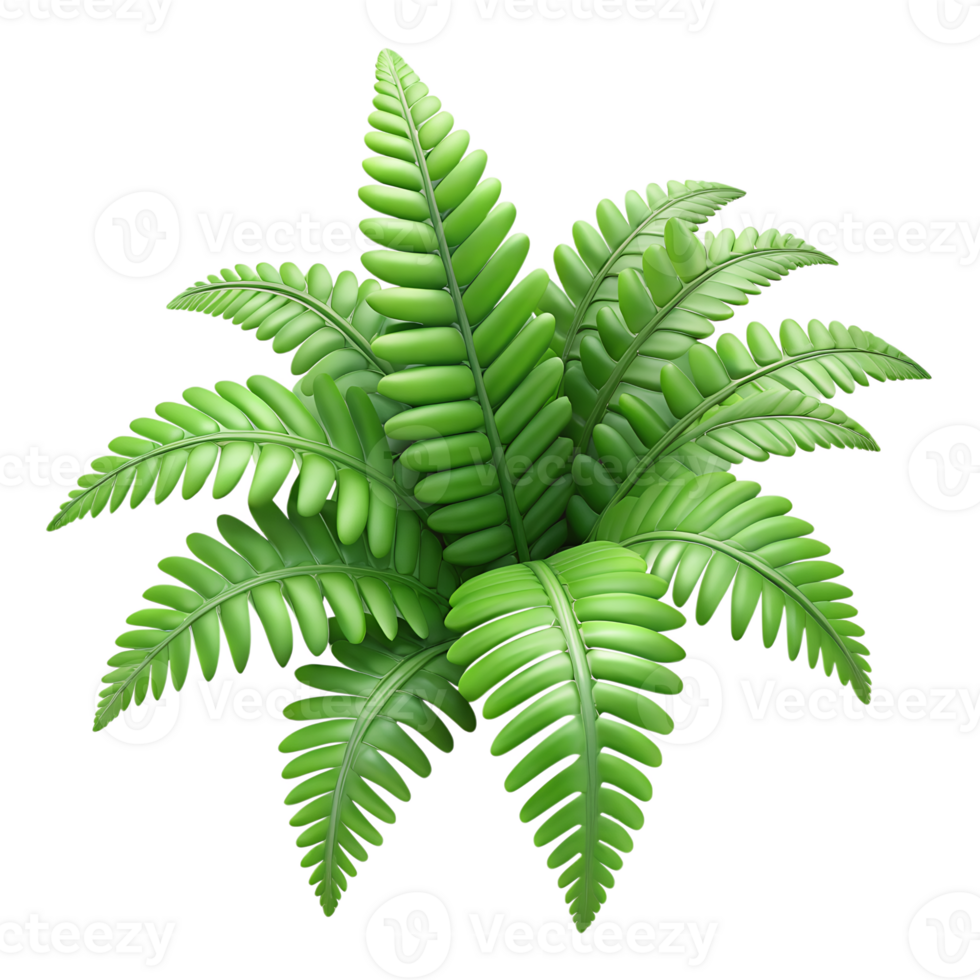 Fern leaves 3d illustration isolated on the transparent background. Green foliage, nature design, botanical art png