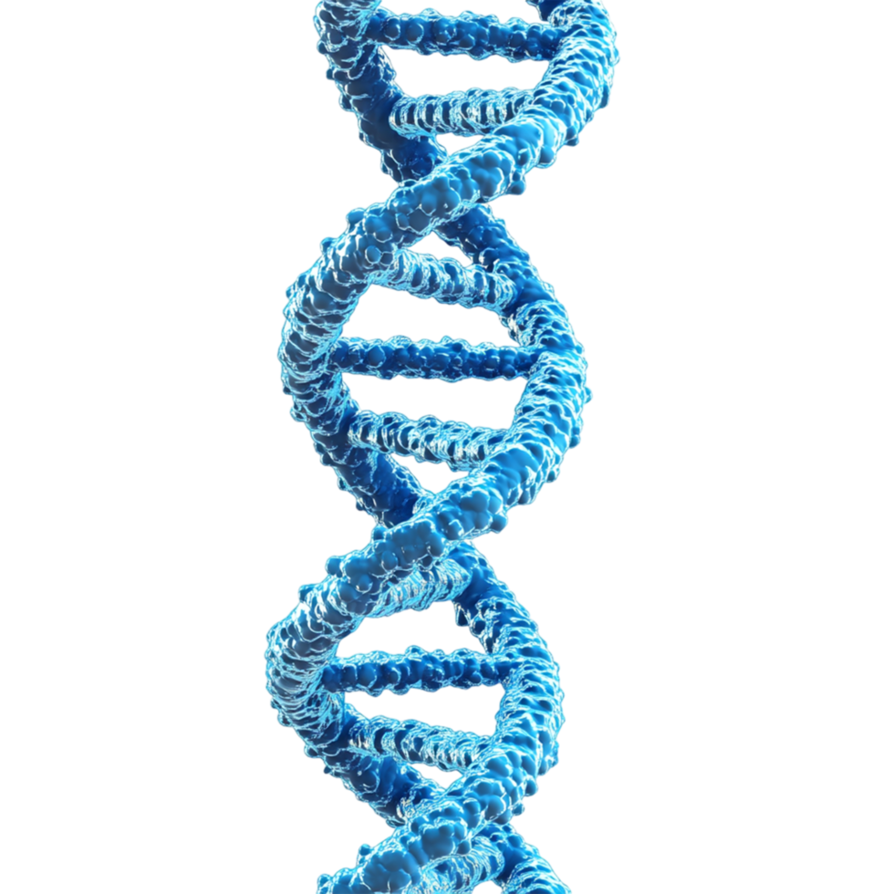 a blue dna strand on a transparent background png