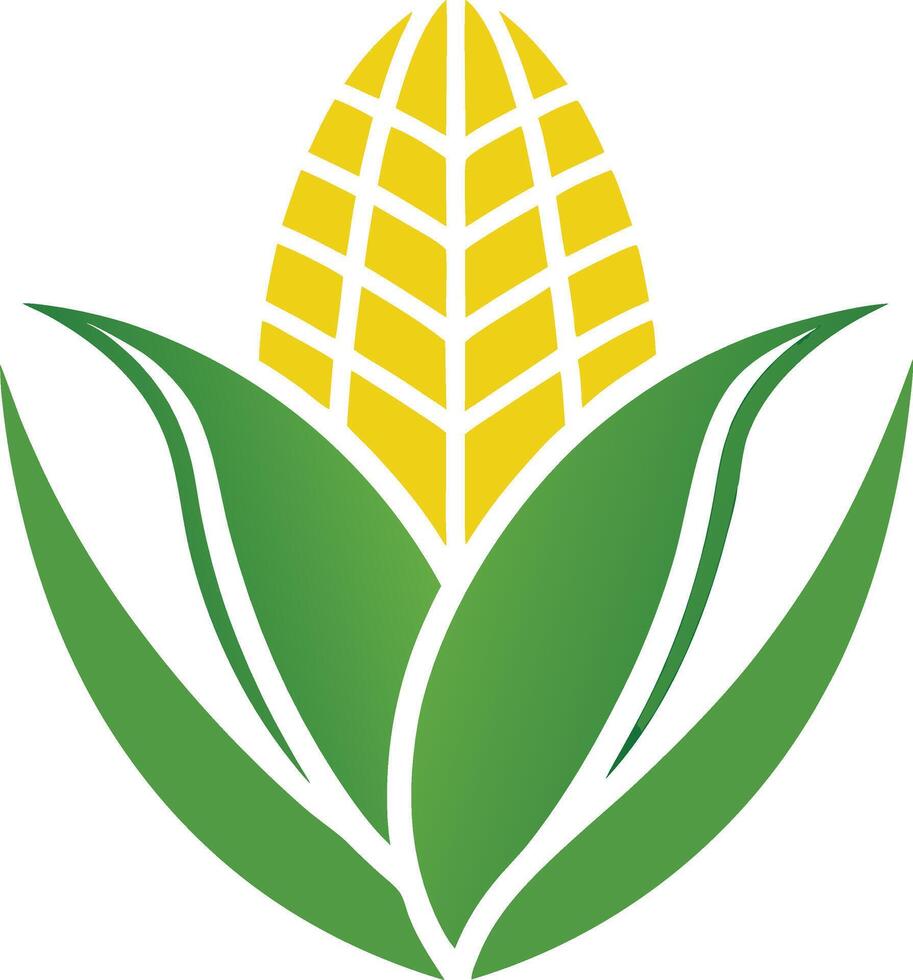 Golden Corn Icon vector