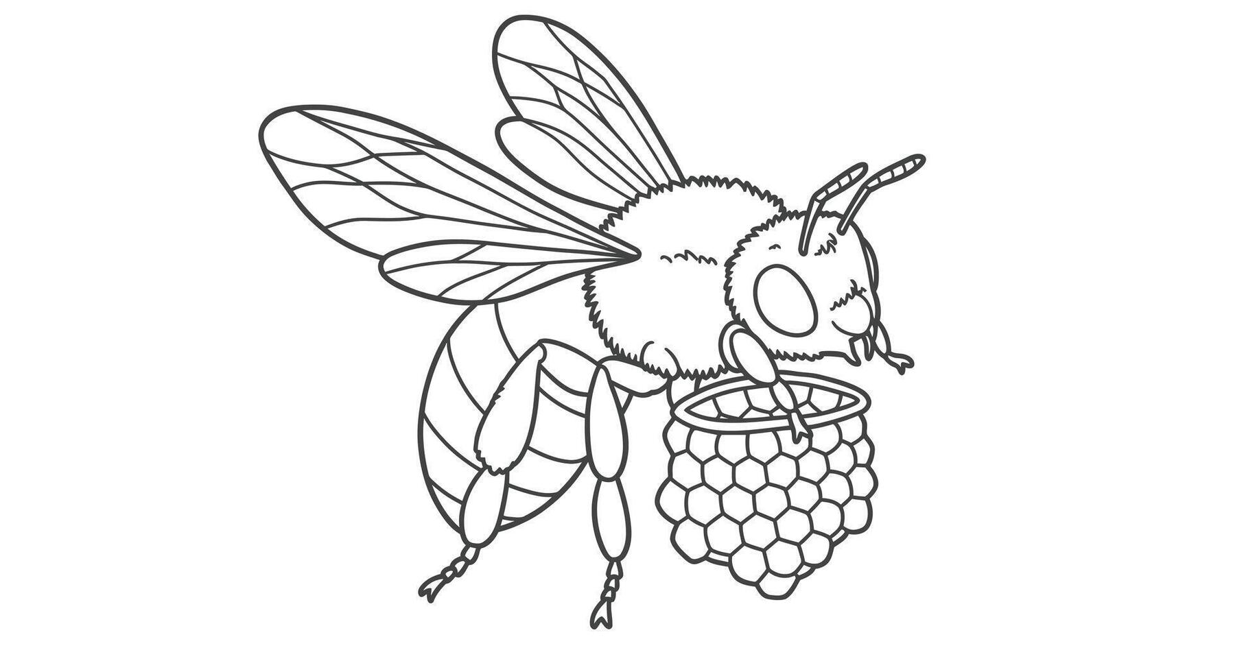 Bee coloring pages for kids vector