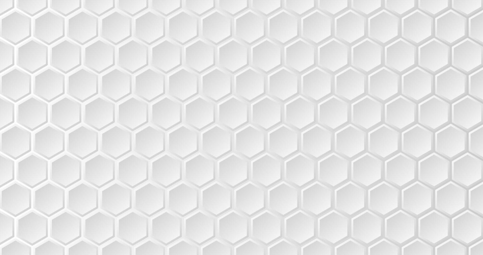 White hexagon background illustration vector