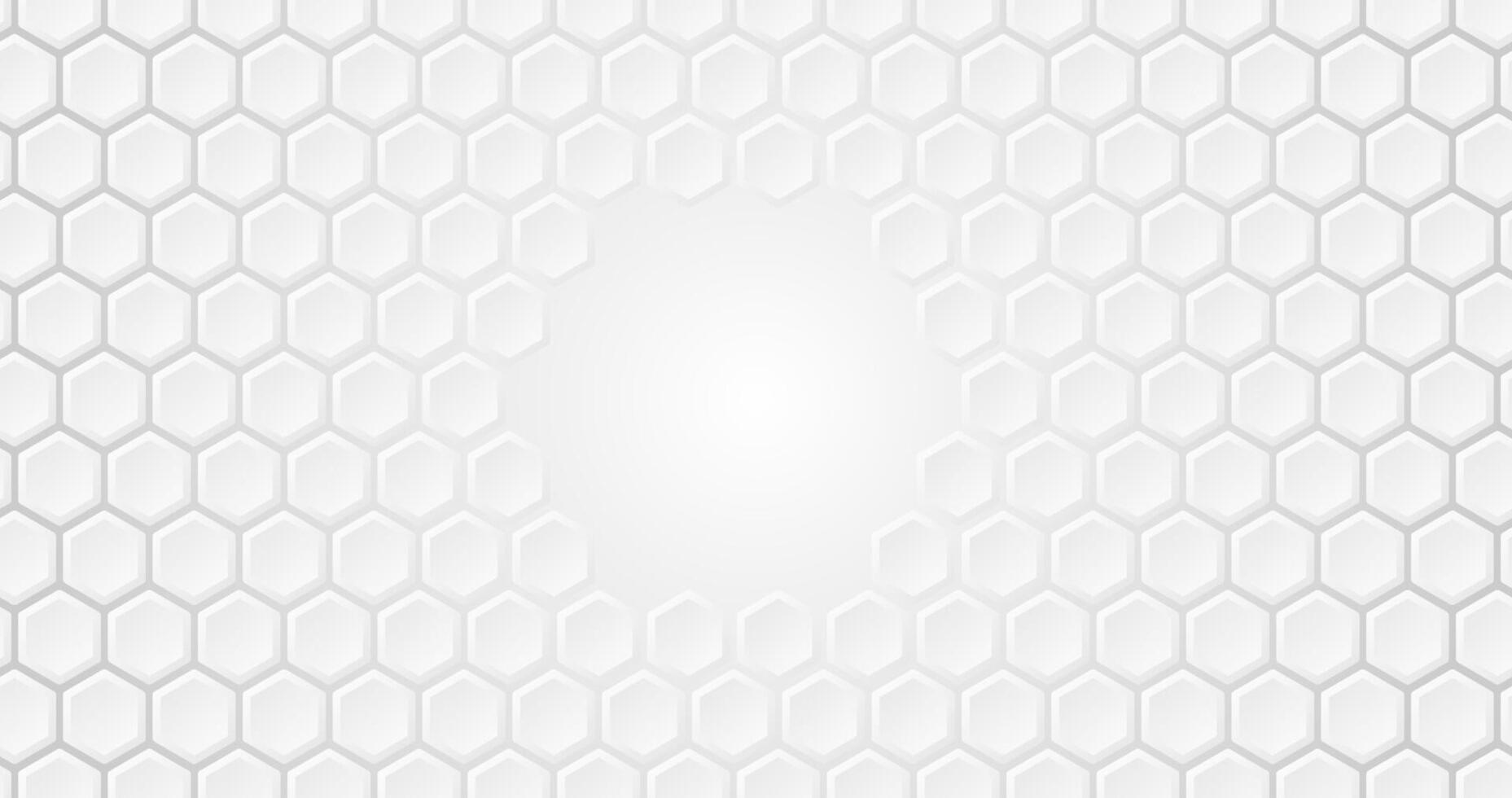 White Hexagon Background White Hexagon pattern illustration vector