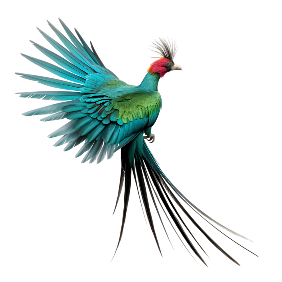 A quetzal showcasing its iridescent green tail feathers in a lush tropical environment captured in a dynamic moment png