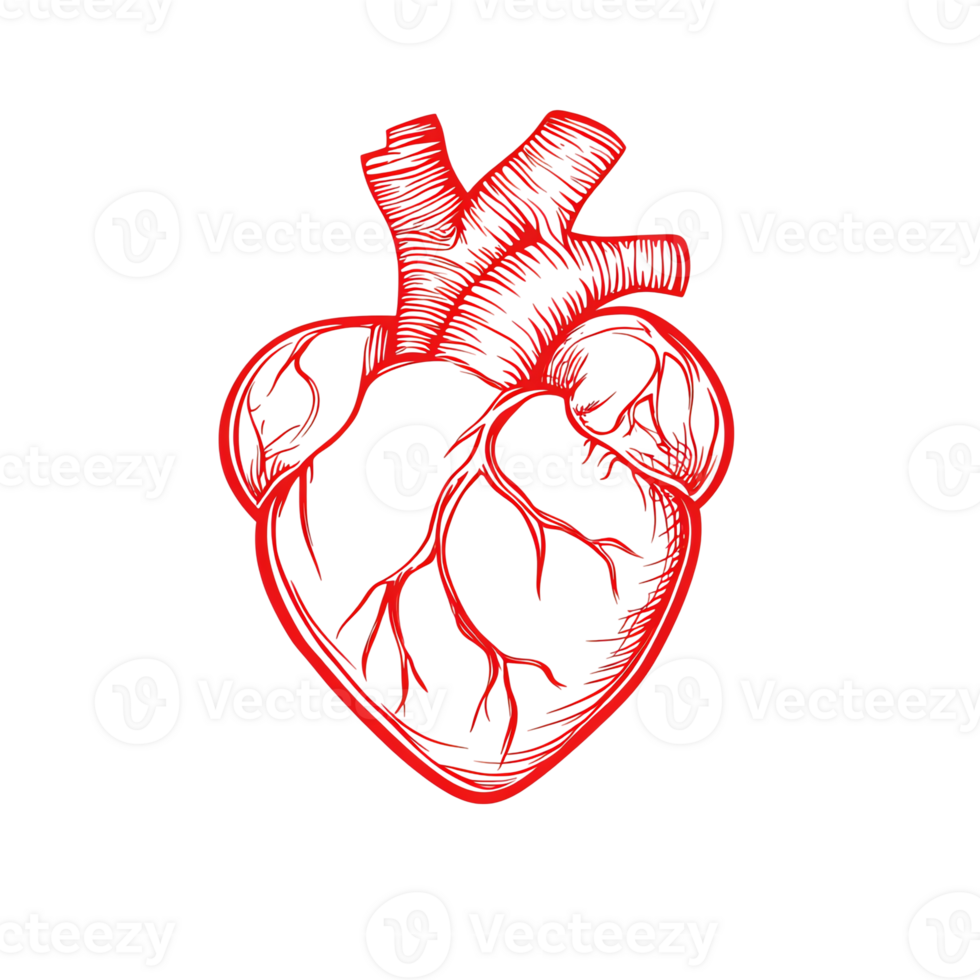Red Heart Drawing Isolated on Black Background - Medical and Health Concept png