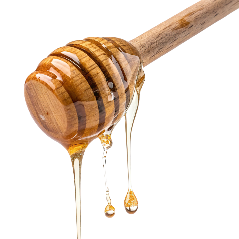 honey dripping from a wooden stick on a transparent background png