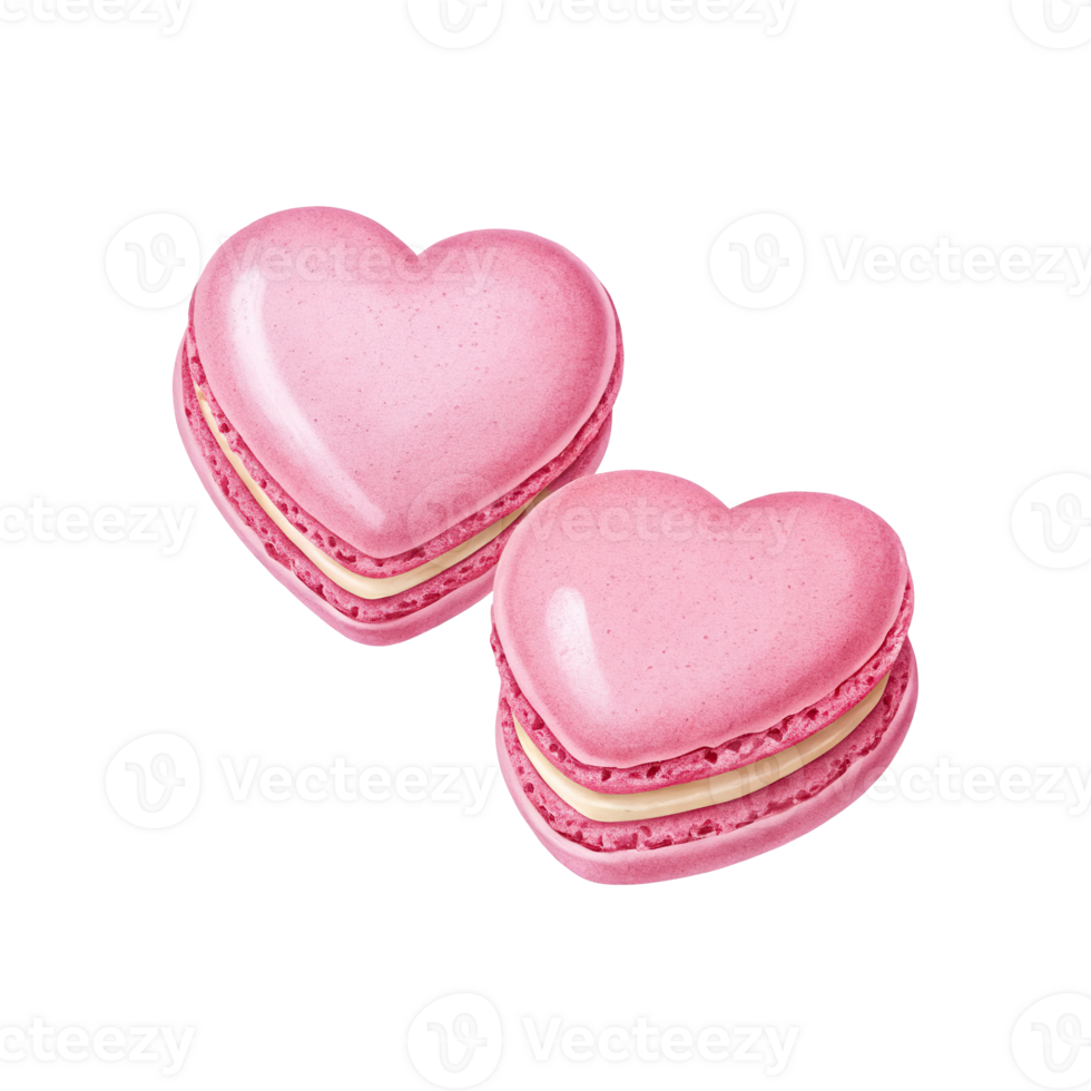Free Newtwo pink macarons on a transparent background png