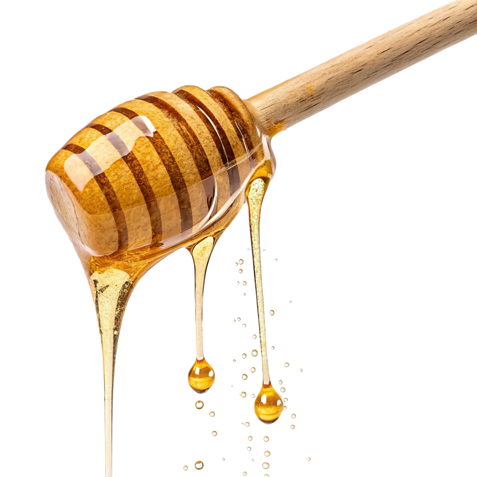 Free new honey dripping from a wooden stick on a transparent background png