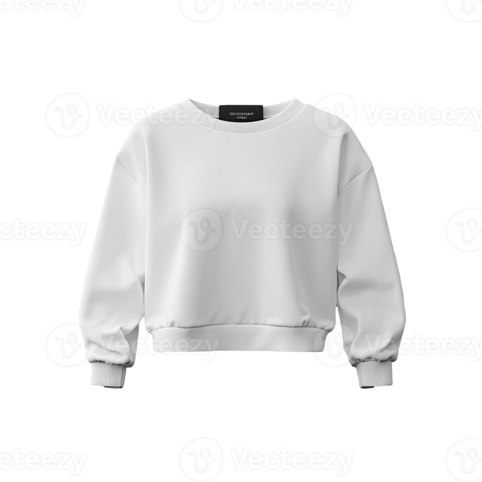 The cropped sweatshirt is white and has a long sleeve png