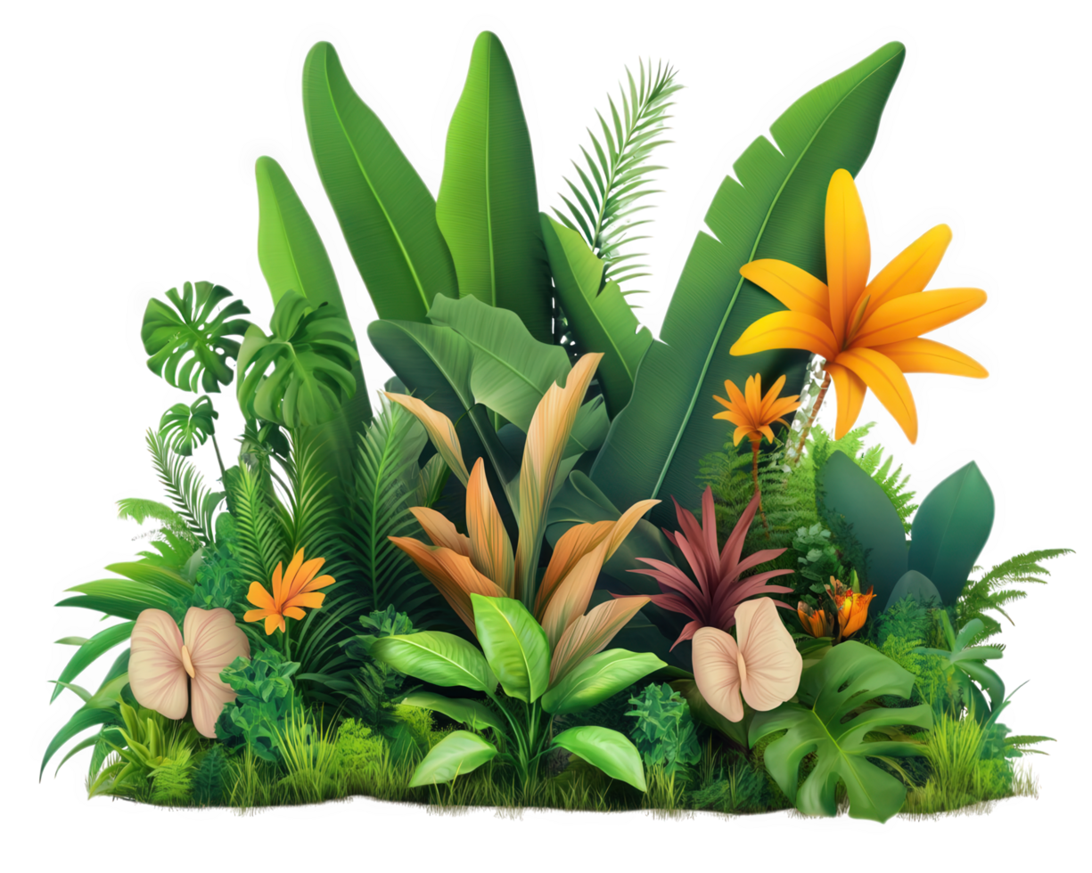 Tropical plants and flowers on a black background png