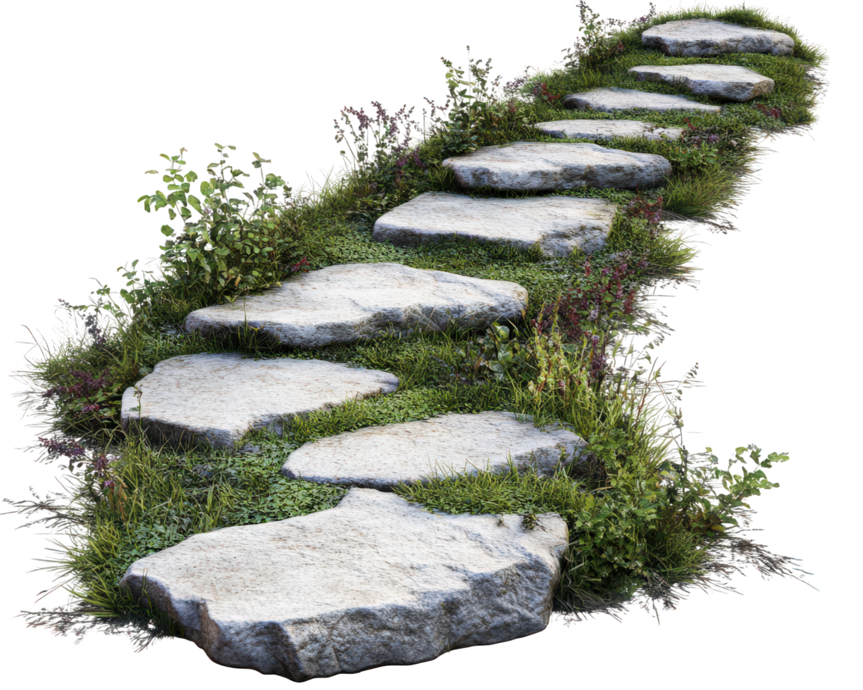 Stepping stones on grassy path surrounded by plants create serene outdoor scene. This natural walkway invites exploration and adds charm to any garden or landscape png