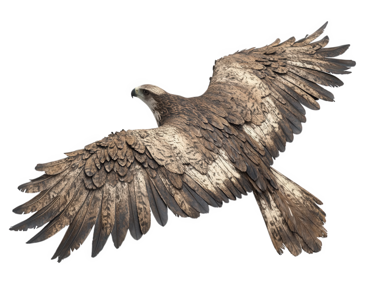 A bird flying in the air with its wings spread png