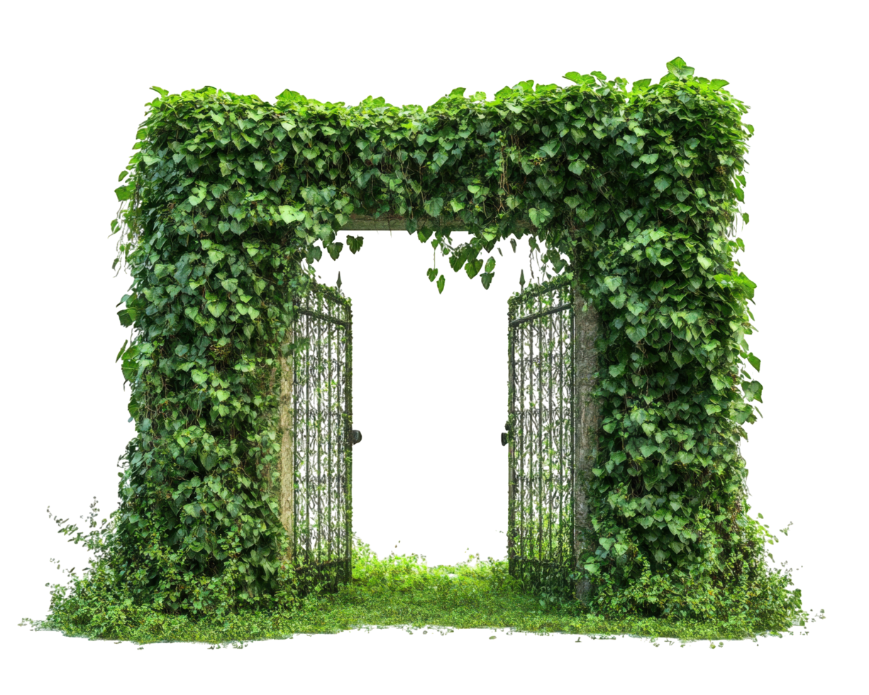 An archway made of green vines and leaves png