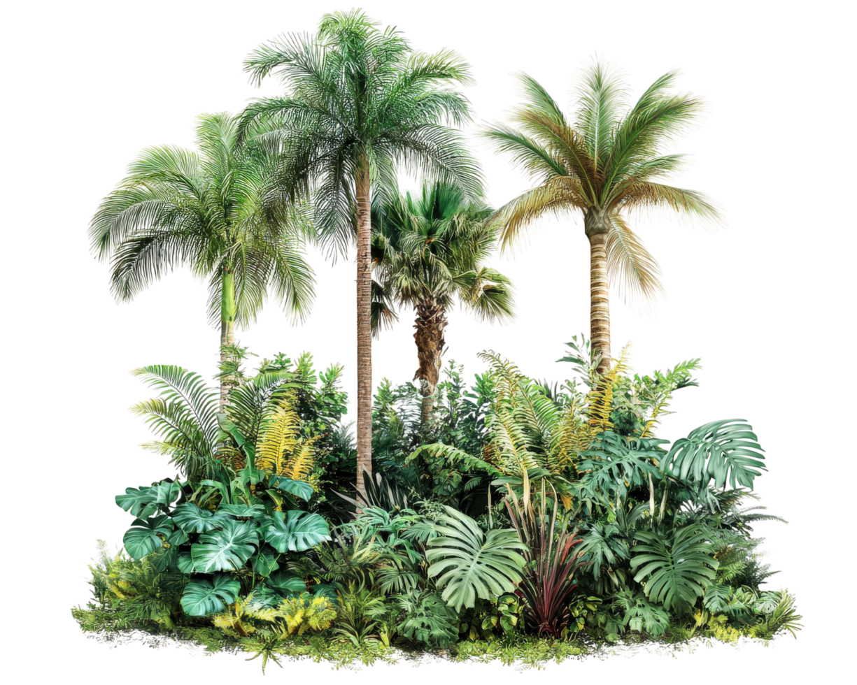 A tropical jungle with palm trees and plants png
