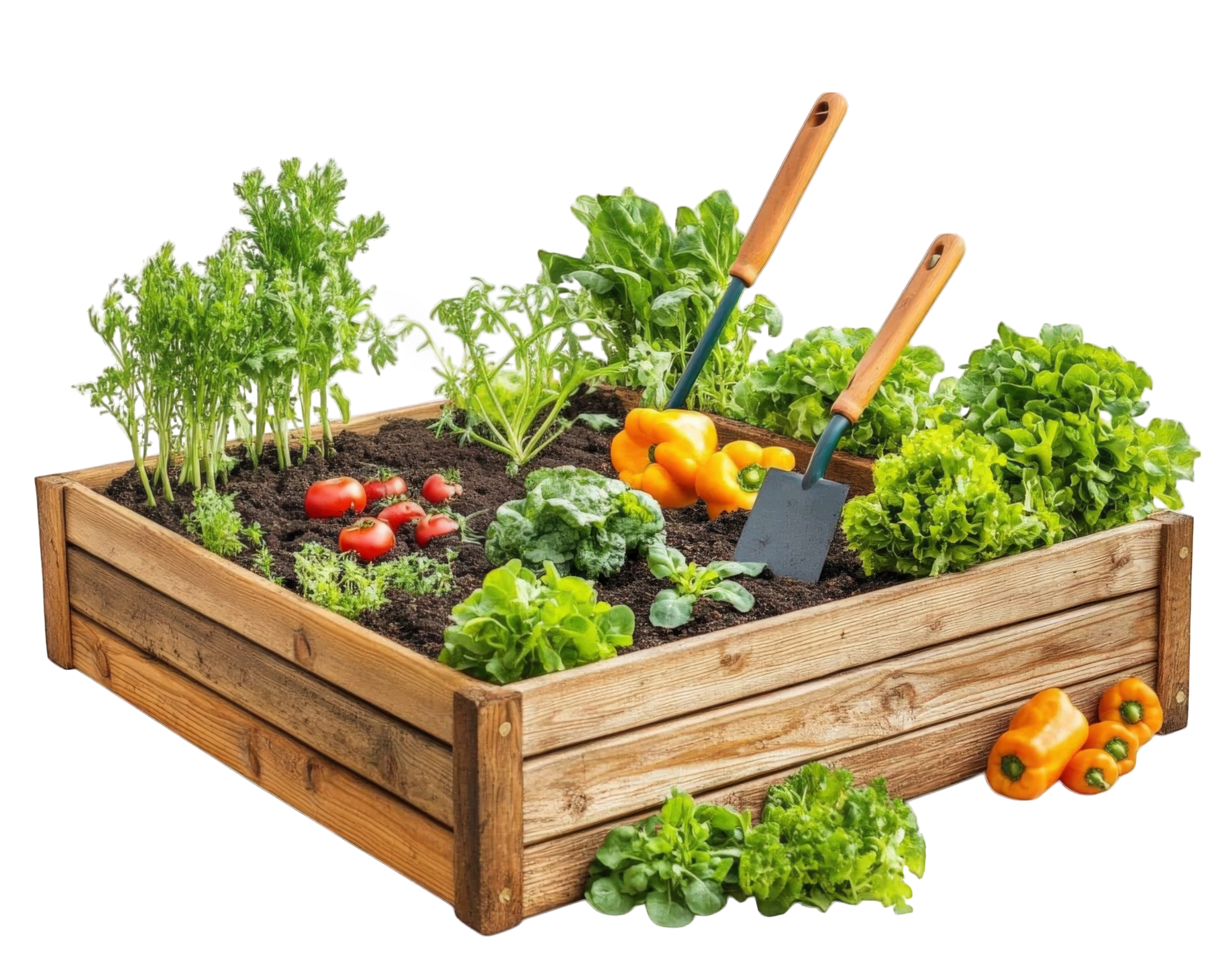 A wooden box with vegetables and gardening tools png