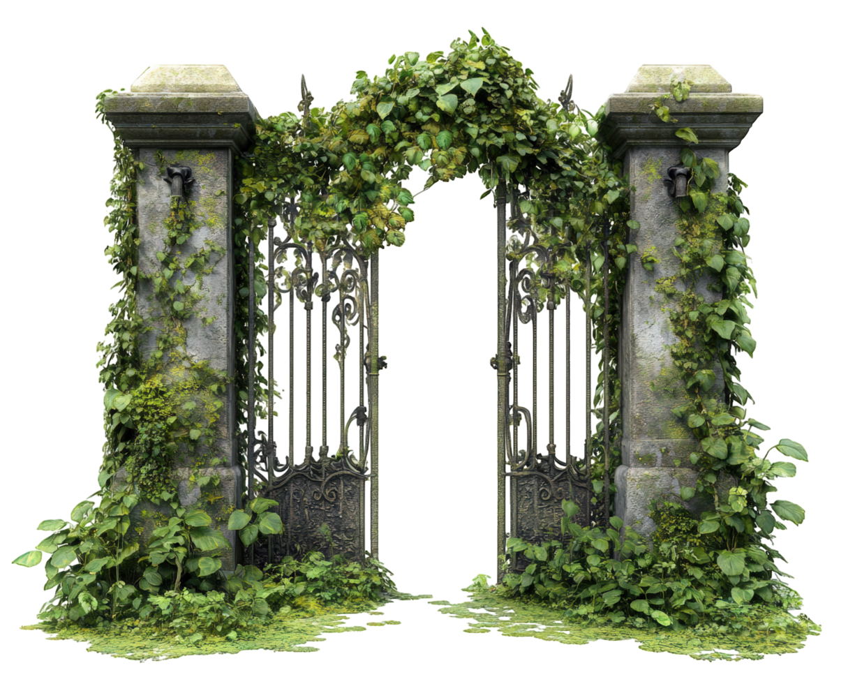 Garden gate with ivy and ivy vines png