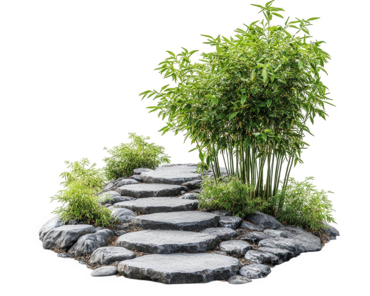 A stone path with a bamboo tree in the middle png
