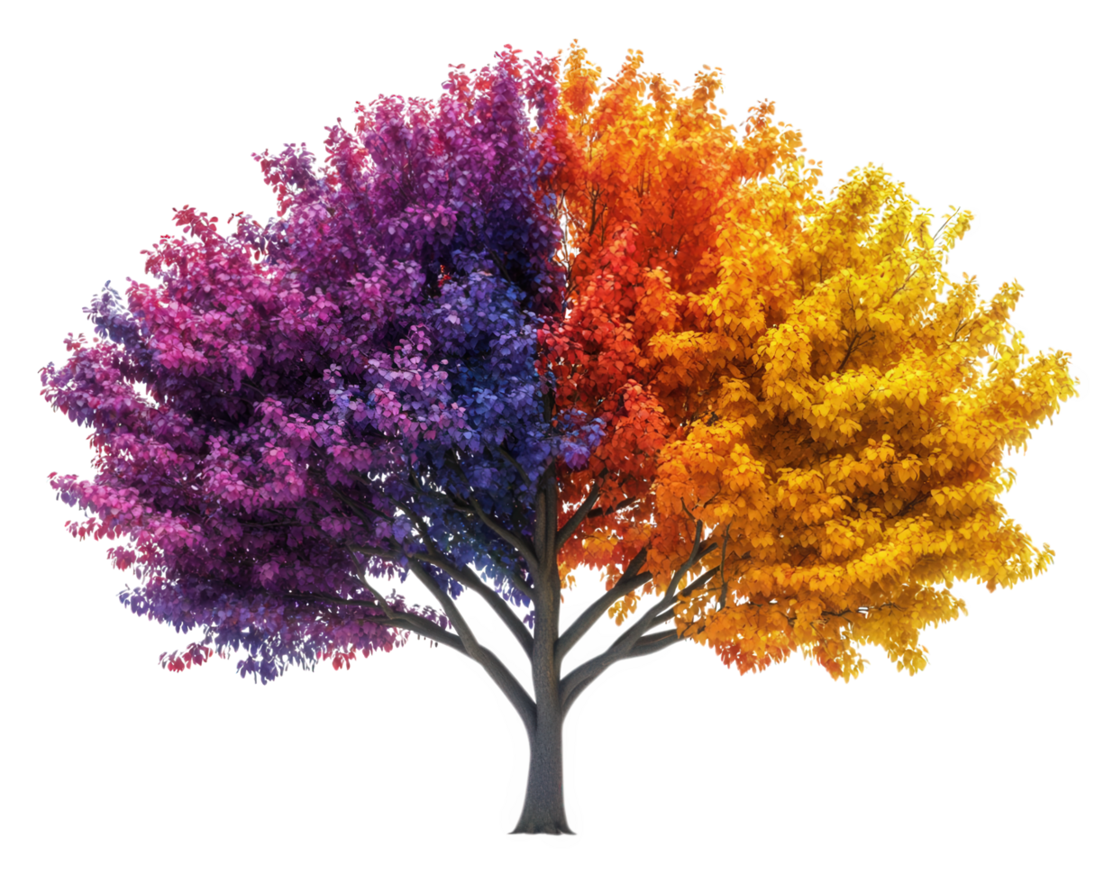 A tree with colorful leaves and branches png