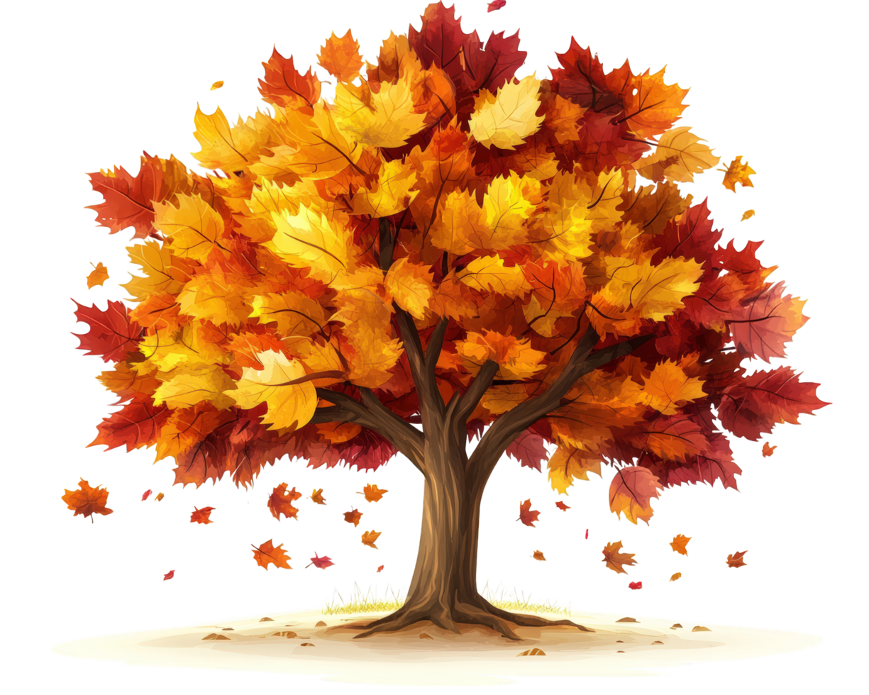 Autumn tree clipart png