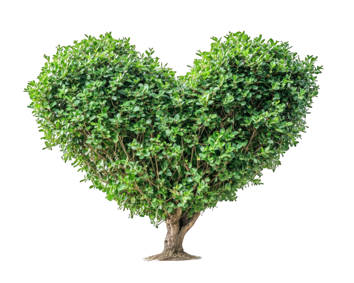 A heart shaped tree on a black background png