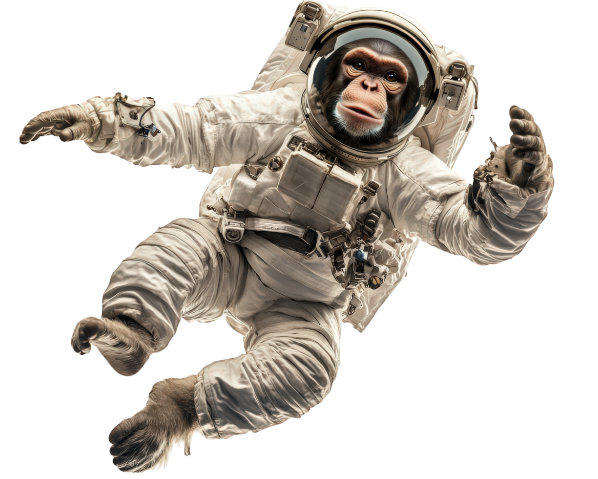 An astronaut monkey in space png
