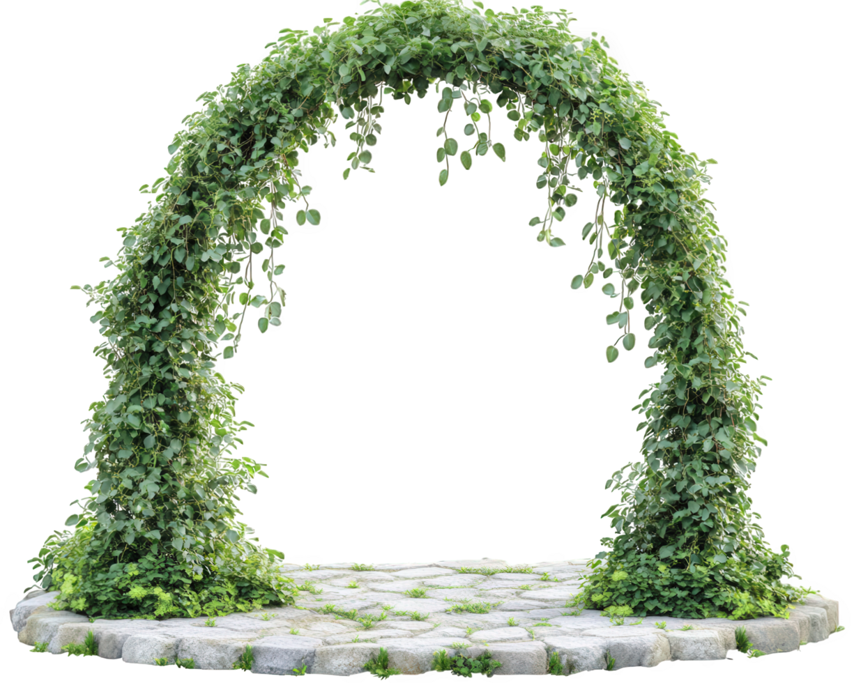 An arch made of ivy on a stone path png
