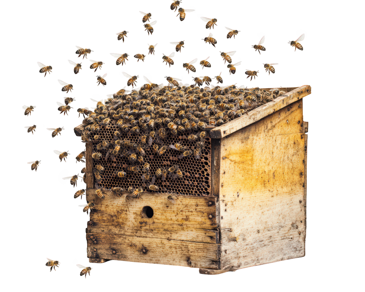 A wooden box with bees flying out of it png