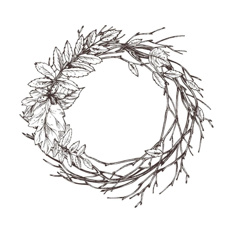 Autumn rowan leaves, maple, birch, tree branches and ladybugs. For decorating summer, autumn, harvest. Graphic line art hand drawn with black ink. Round wreath, frame, template for text. vector