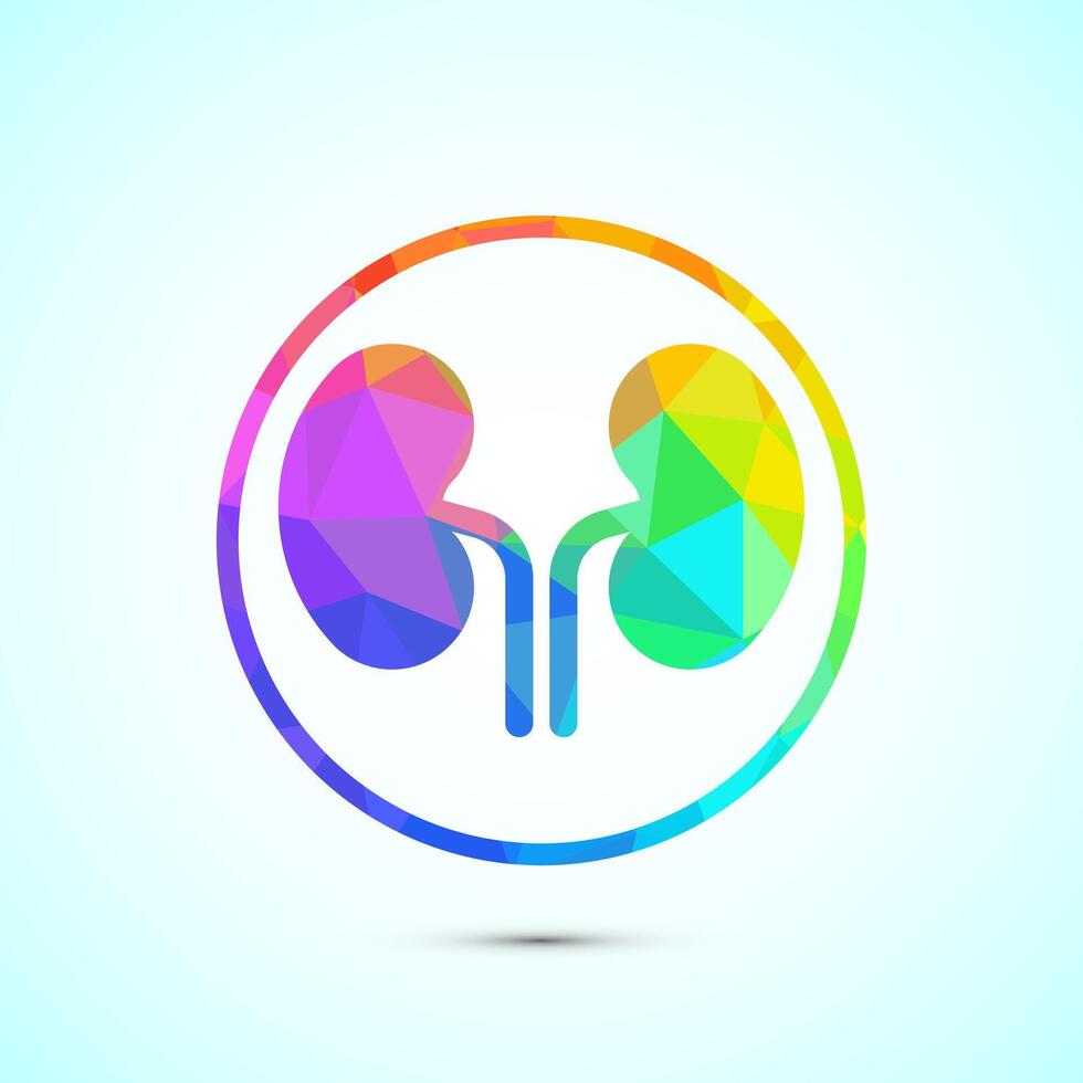 Kidney icon illustration. Human organ icon, low poly style vector