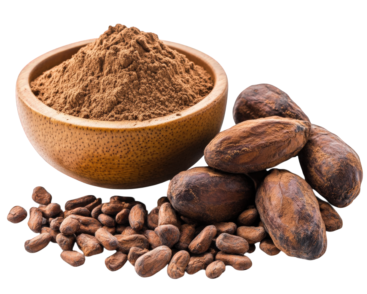 Cocoa powder and cocoa beans png