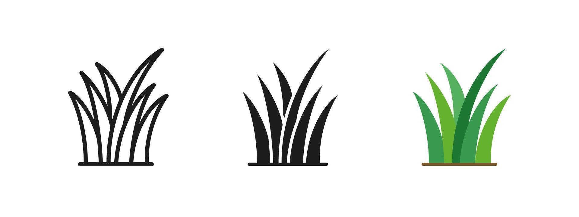 Grass icon. Natural lawn illustration. Green plant symbol representing outdoor vegetation and landscaping. Ecology, botany and environmental growth concept. vector