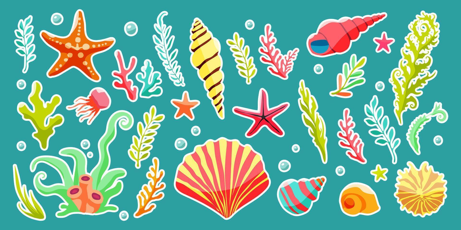 A collection of sea creatures including starfish, shells, and sea grass. The image has a vibrant and lively feel to it, with a focus on the ocean and its inhabitants vector