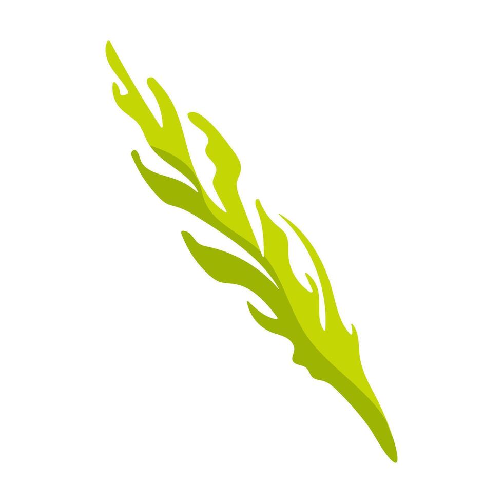 A green leaf with a yellow tip. The leaf is long and thin. It is a drawing of a plant vector