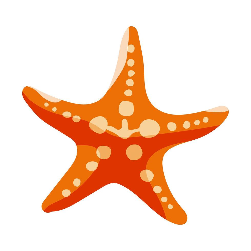 A starfish is drawn in orange and white. The starfish is drawn in a cartoon style vector