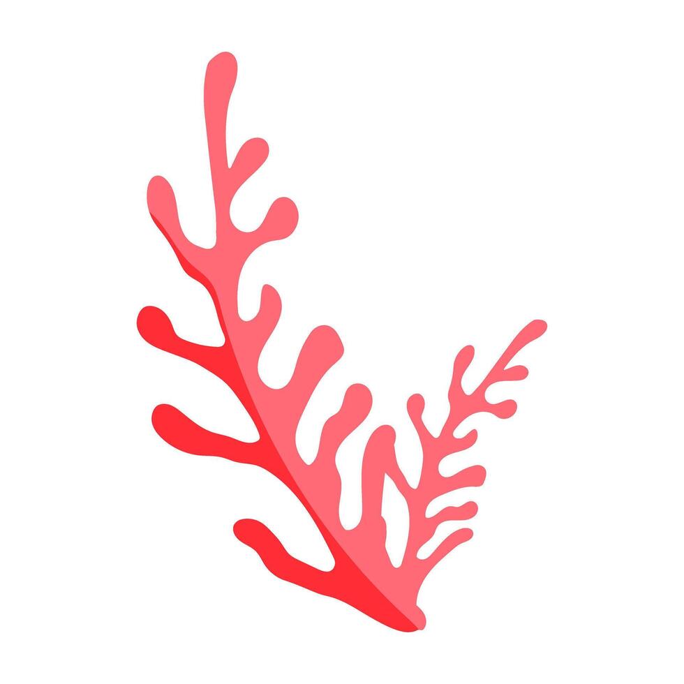 A coral branch with pink and white colors. The coral is a long, thin, and slender structure. It has a unique and intricate pattern that resembles the veins of a leaf vector