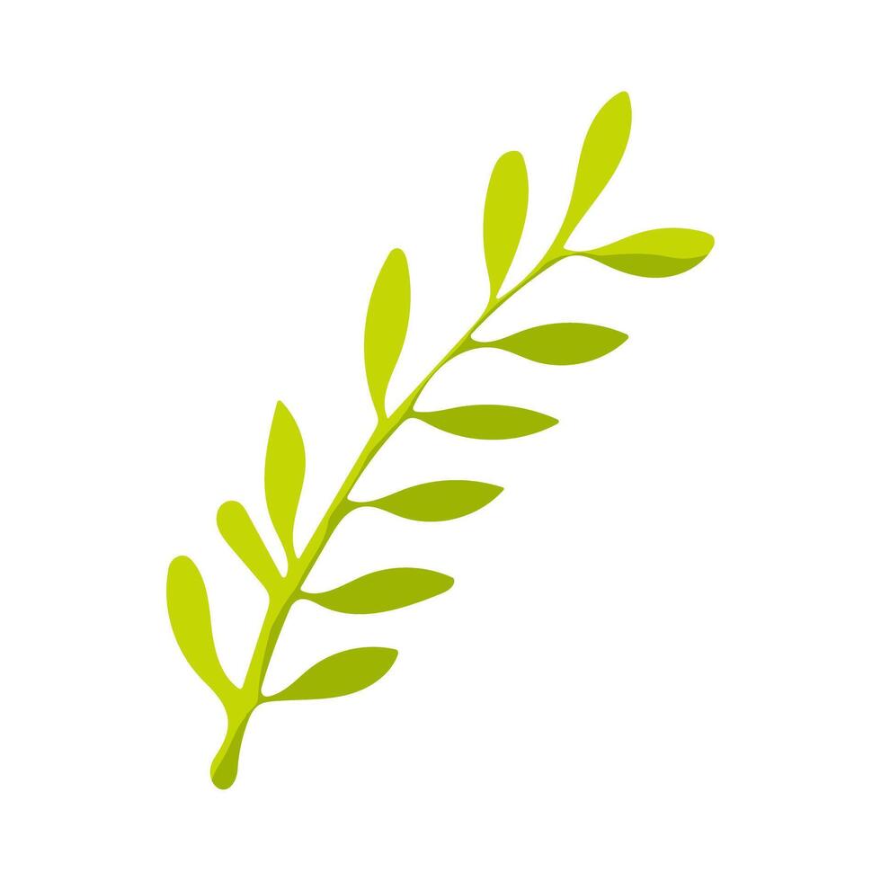 A green leafy plant with a long stem. The leaf is green and has a slightly curved shape vector