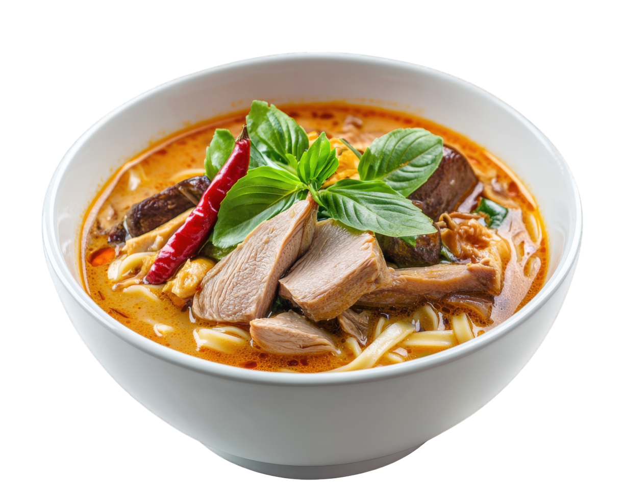 A bowl of soup with meat and noodles png