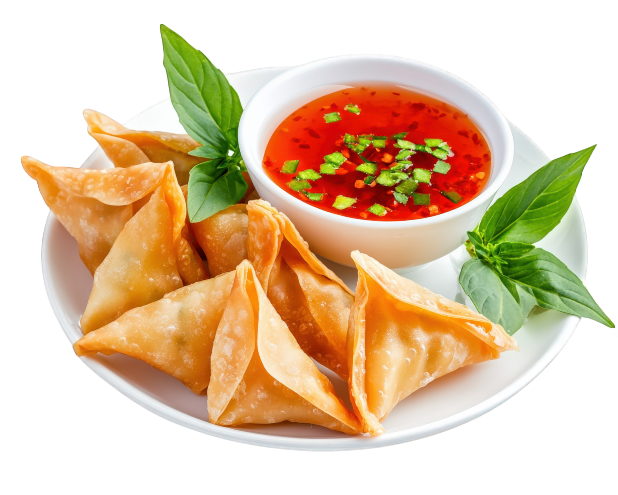 Thai dumplings with dipping sauce on a white plate png