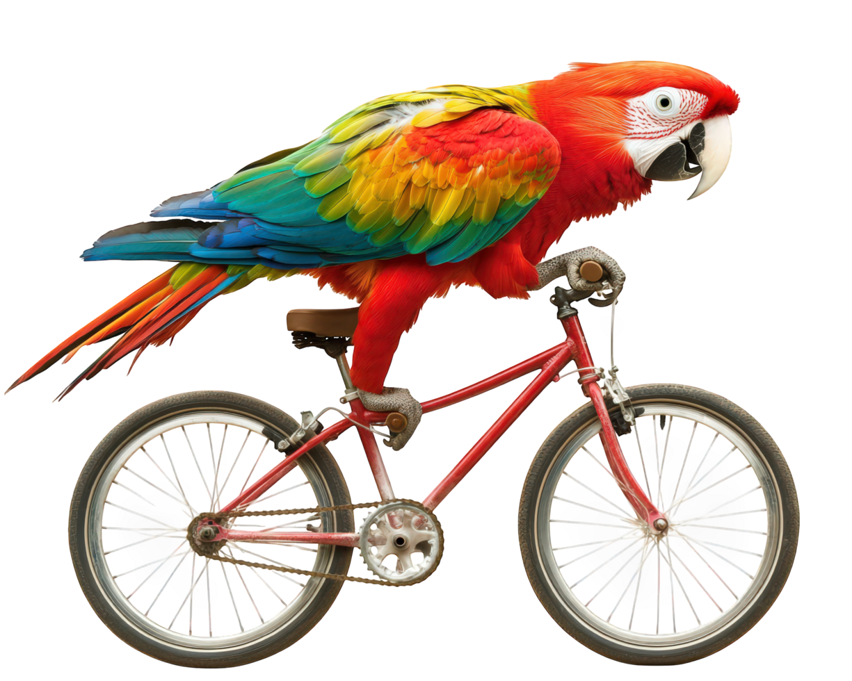A parrot on a bike png