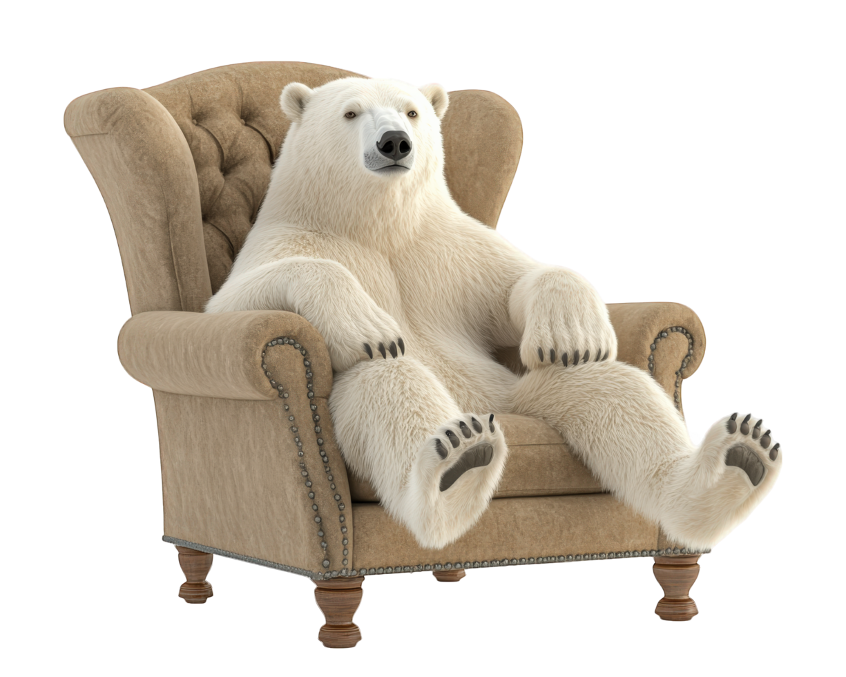 A polar bear sitting in an armchair png