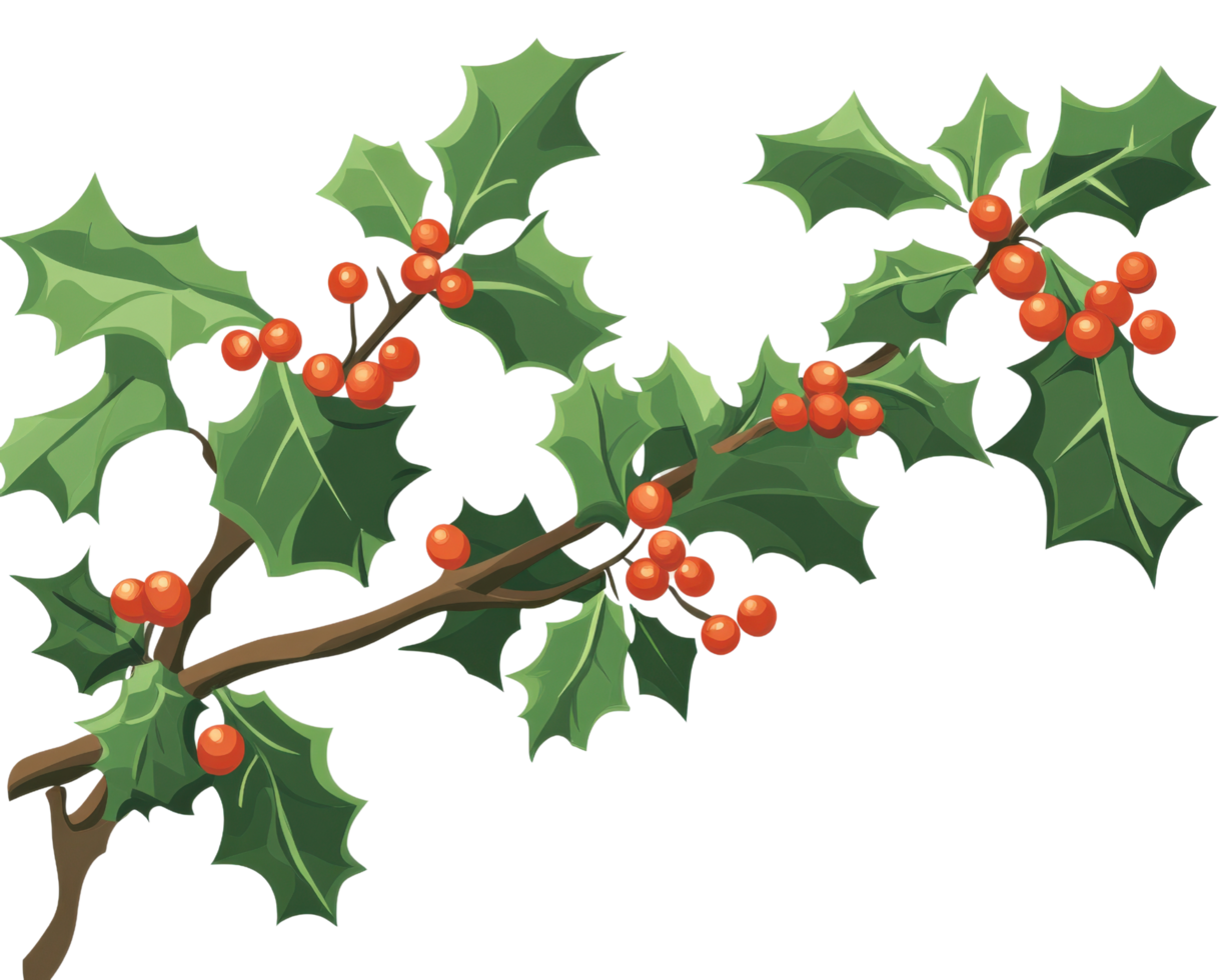 Holly branch with red berries and leaves png