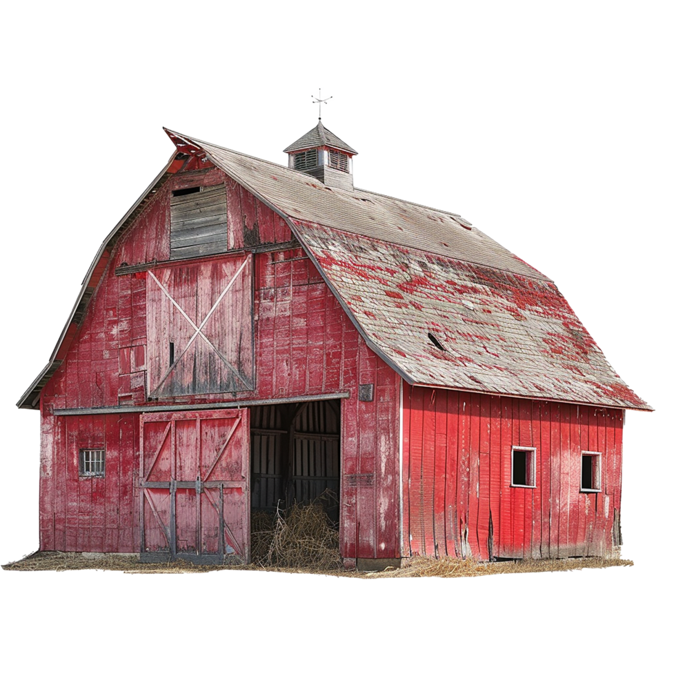 A weathered red barn with a gambrel roof and cupola stands in a field png